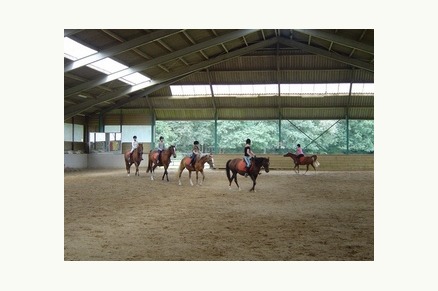 Bungalowpark de Bronzen Emmer Drenthe met paardenstalling en manege VMP019